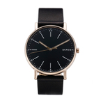 SKAGEN WATCH  男士手表