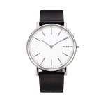 SKAGEN WATCH  男士手表