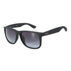 0RB4165F622 8GL 墨镜