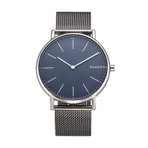 SKAGEN WATCH   男士手表
