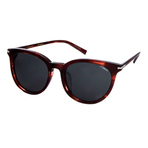 DUPONT SUNGLASSES   DP 6623 4   墨镜