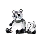 PANDA BABY
