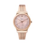 NOVELLO WATCH 手表