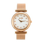 SPARKLE CHIC WATCH 手表