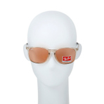 0RB4387F126774 墨镜