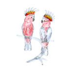 PINK COCKATOOS 装饰摆件