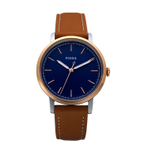 FOSSIL WH 手表