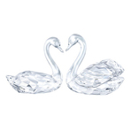 SWAN COUPLE