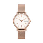 SKAGEN  手表