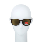 0RB4387F902/73 墨镜