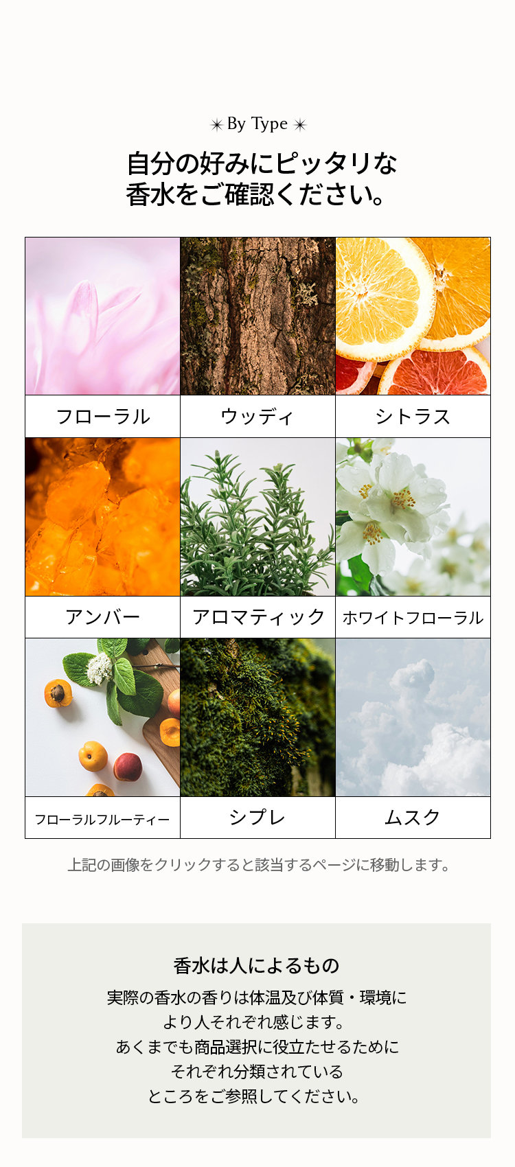 [希少] < 免税店限定>Glenmorangie19年ファイネストリザーブ グレンモーレンジィ 19年 ファイネスト リザーブ （並行）