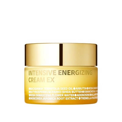 인텐시브 에너자이징 크림 EX 60ml
