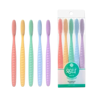 왕타 베이직 5P