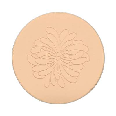 SETTING POWDER REFILL