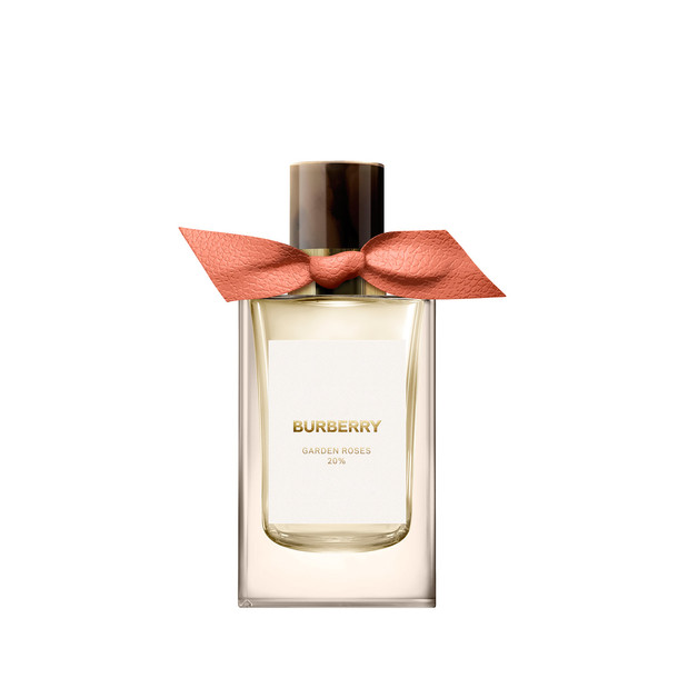 BURBERRY シグネーチャー ホーソンブルーム 12％ 100ml Designer