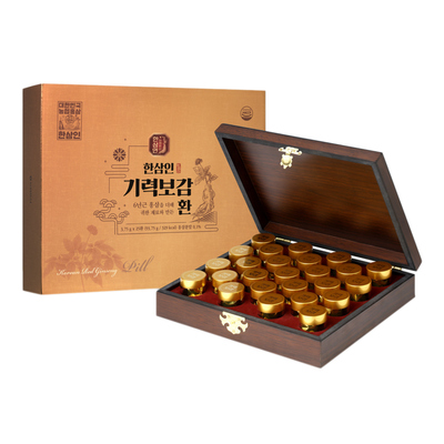 기력보감환 3.75g*25환