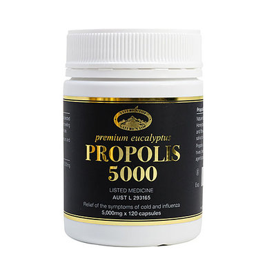 프리미엄 유칼립투스 프로폴리스 5000 고함량 Premium Eucalyptus Propolis 5000