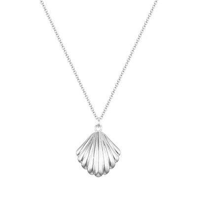 Shell necklace